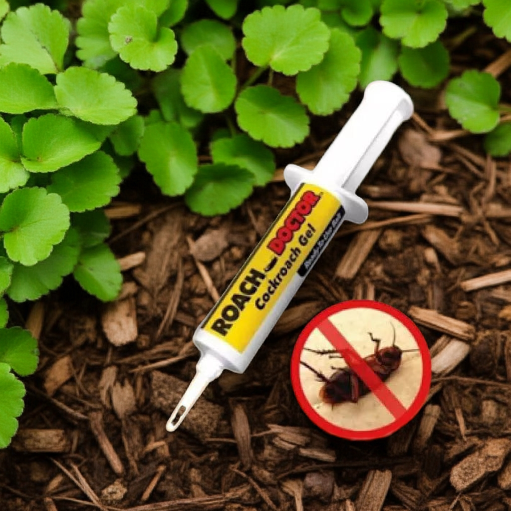 Insecticid tip seringa, solutie antigandaci RoachDoctor