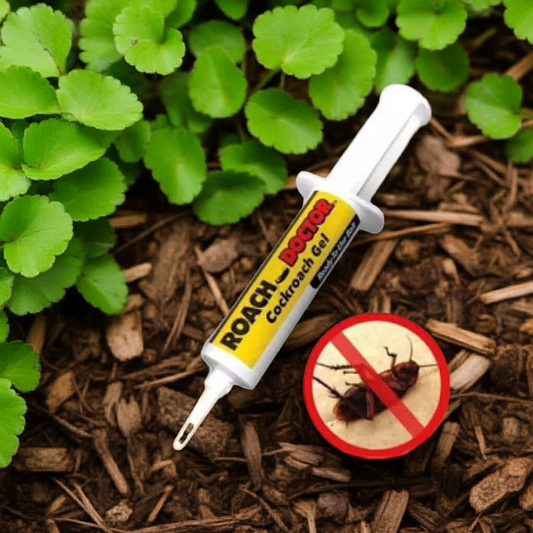 Insecticid tip seringa, solutie antigandaci RoachDoctor